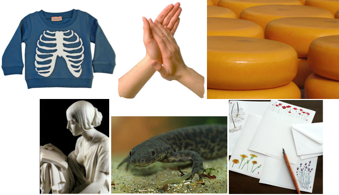 nederlandse woorden stemloos woordeinde